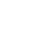 SNEAKER STORE CO