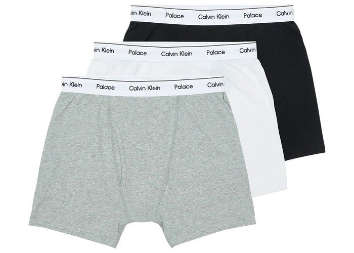 CALVIN KLEIN Briefs CK1 PALACE WOVEN BOXERS 2PK