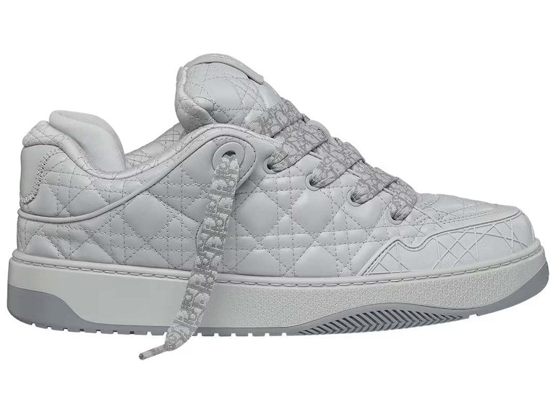 Dior B9S Skater Dior Gray (Numbered)