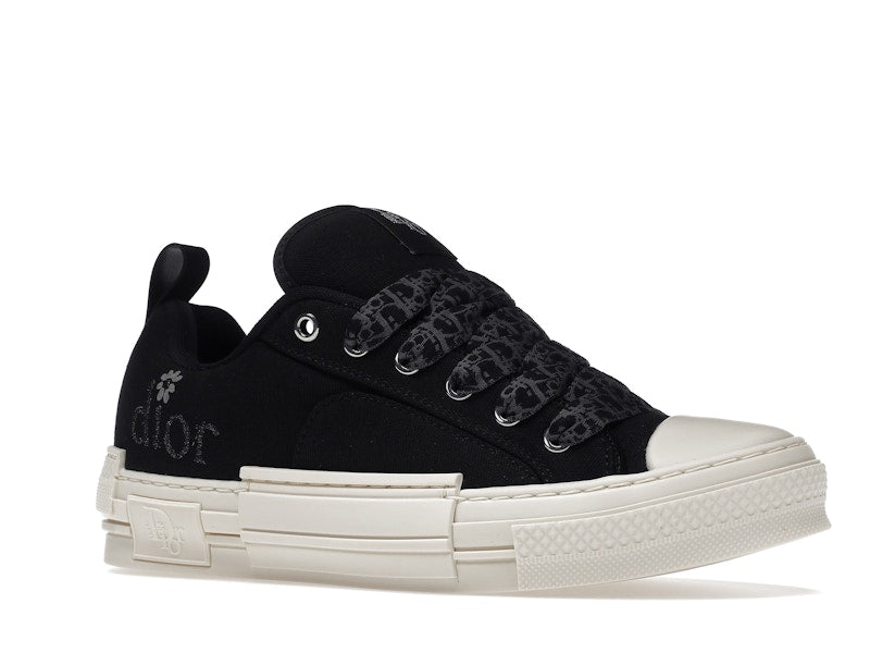 Dior B23 Skater Low Top ERL Black Cotton Canvas 