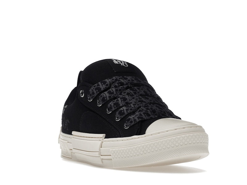 Dior B23 Skater Low Top ERL Black Cotton Canvas 