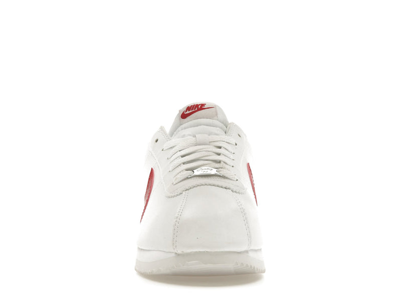 Nike Cortez Basic Forrest Gump (2019)