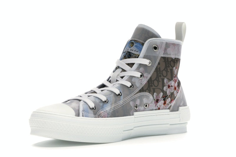 Dior B23 High Canvas Sorayama Dinosaur Brown
