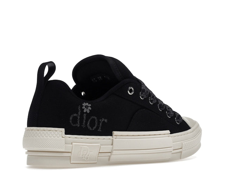 Dior B23 Skater Low Top ERL Black Cotton Canvas 