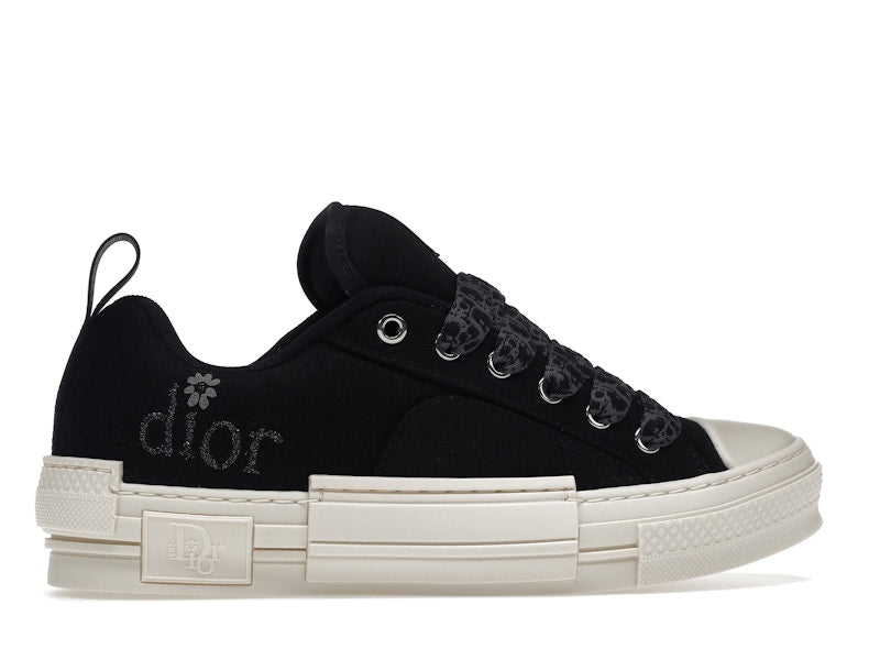 Dior B23 Skater Low Top ERL Black Cotton Canvas