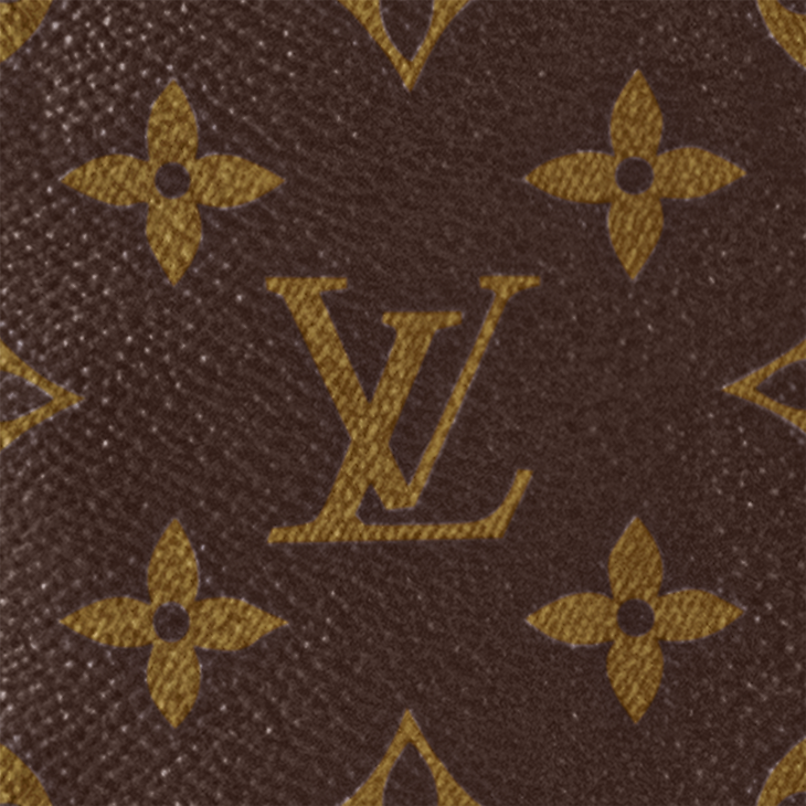 Louis Vuitton Christopher Monogram Macassar PM Brown